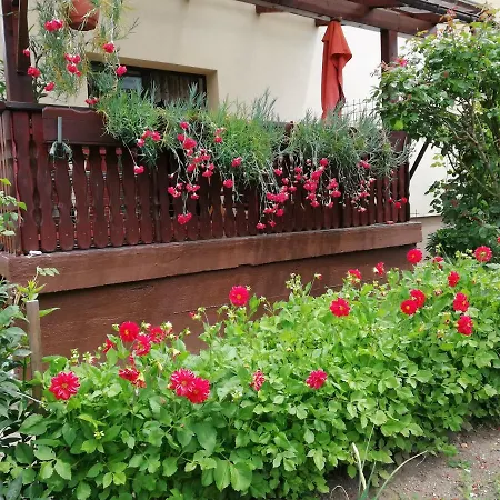 Rose * Есенице